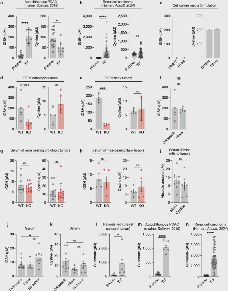 Extended Data Figure 3 shows that the total glutathione (tGSH) content in TIF is significantly higher than that in serum in multiple cancer models.