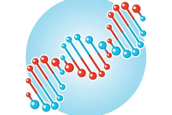 Extraction method of glutathione