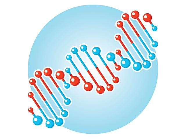 Extraction method of glutathione