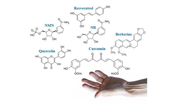 Analysis of popular antiaging supplements in 2023