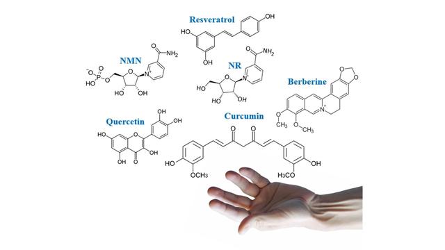 Analysis of popular antiaging supplements in 2023