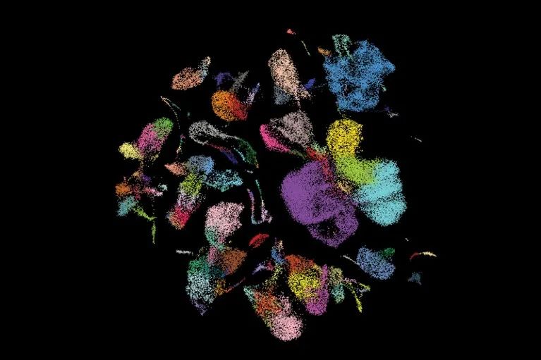 The Human Lung Cell Atlas describes the different cell types and how they are regulated. Photo credit: nature