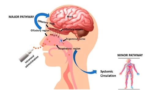 nasal delivery system