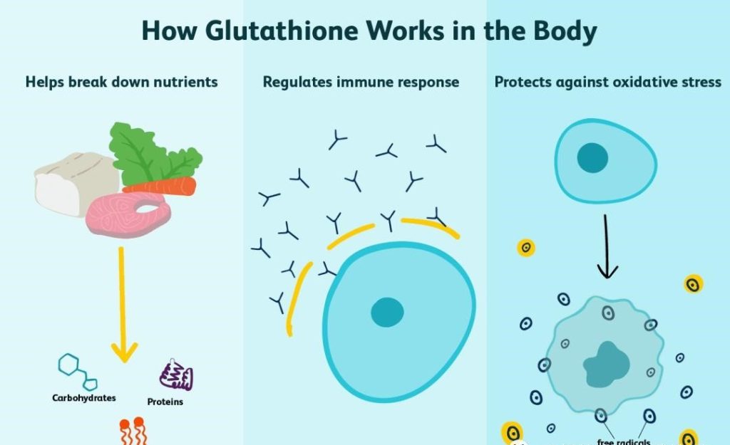 How Glutathione Works in the Body