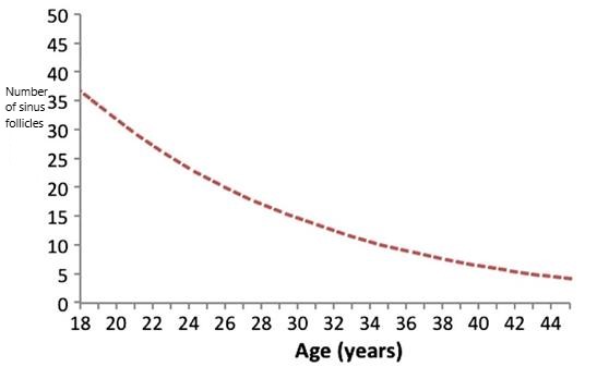 Figure 1 The number of sinus follicles (follicles that begin to develop during each ovulation cycle) in women in relation to age