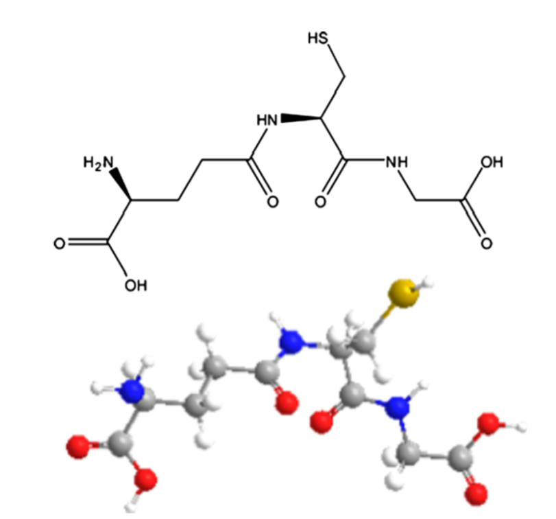 Figure 1 Structure of glutathione