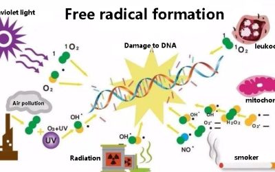 Mitochondrial damage can cause so many diseases, PQQ is a health escort