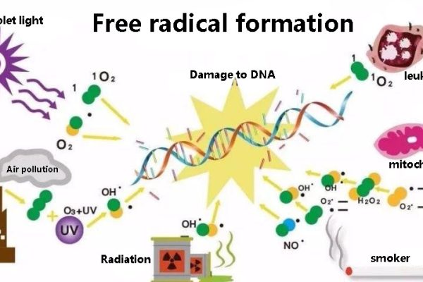 Mitochondrial damage can cause so many diseases, PQQ is a health escort