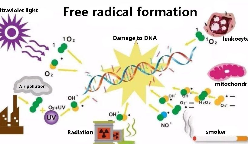 Mitochondrial damage can cause so many diseases, PQQ is a health escort