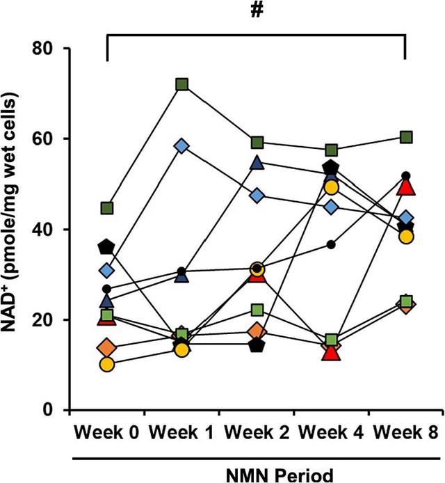 NMN increased the level of NAD+ in peripheral blood mononuclear cells