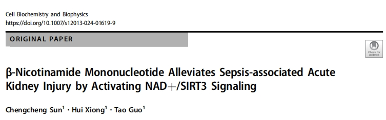 B-Nicotinamide Mononucleotide Alleviates Sepsis-associated Acute Kidney Injury by Activating NAD-/SIRT3 Signaling