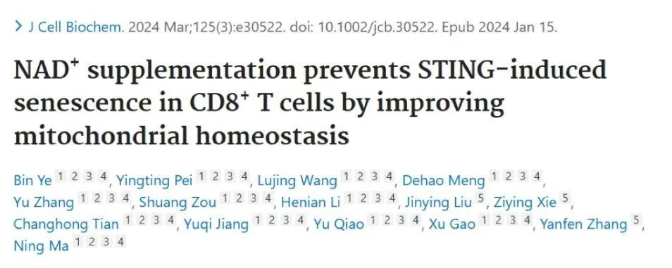 Effects of NMN on cellular senescence and immune regulation