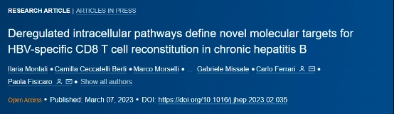 Deregulated intracellular pathways define novel molecular targets for
HBV-specific CD8T cell reconstitution in chronic hepatitis B