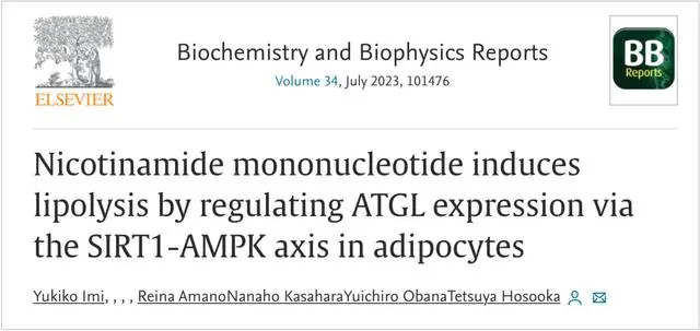 Nicotinamide mononucleotide induces lipolysis by regulating ATGL expression via the SIRT1-AMPK axis in adipocytes