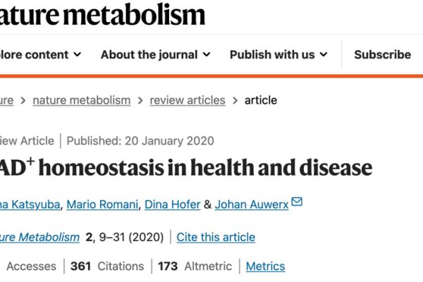 NAD+ homeostasis in health and disease