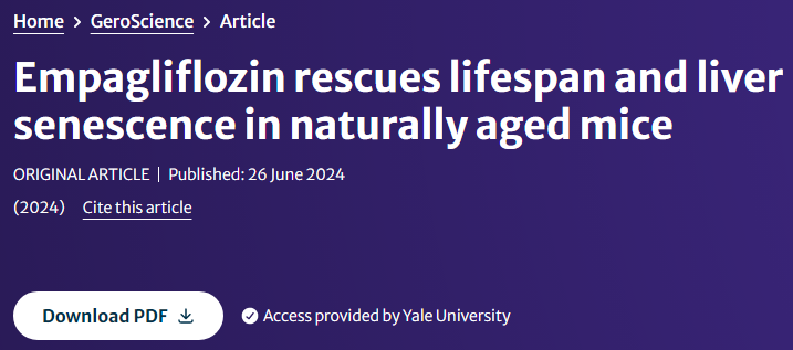 Empagliflozin rescues lifespan and liver senescence in naturally aged mice