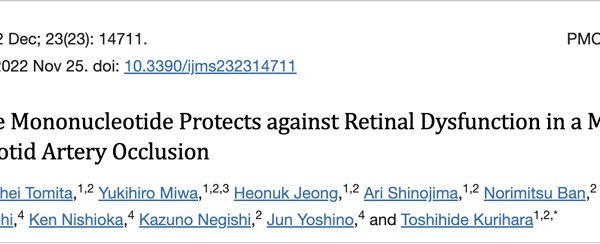 NMN prevents retinal dysfunction