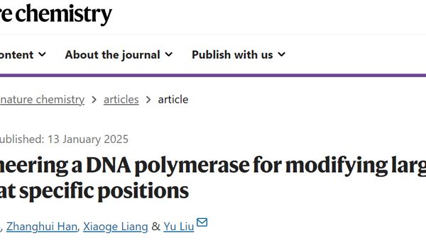 Engineering a DNA polymerase for modifying large RNA at specific positions