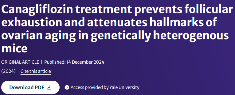 Canagliflozin treatment prevents follicular exhaustion and attenuates hallmarks of ovarian aging in genetically heterogenous mice