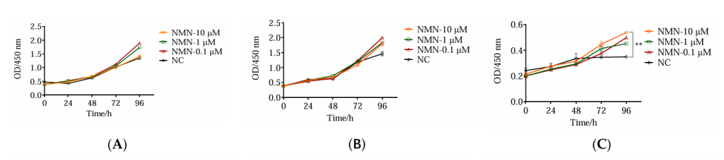 NAD+ promotes stem cell growth