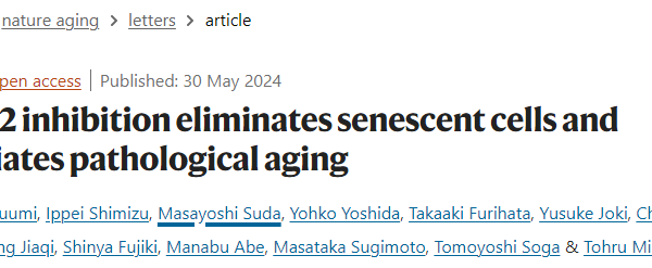 SGLT2 inhibition eliminates senescent cells and alleviates pathological aging