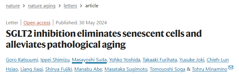 SGLT2 inhibition eliminates senescent cells and alleviates pathological aging