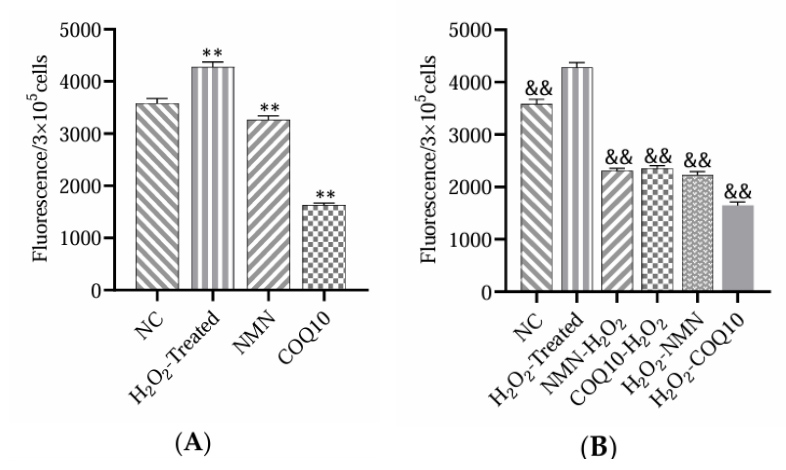 NAD+ prevents stem cells from entering an aging state