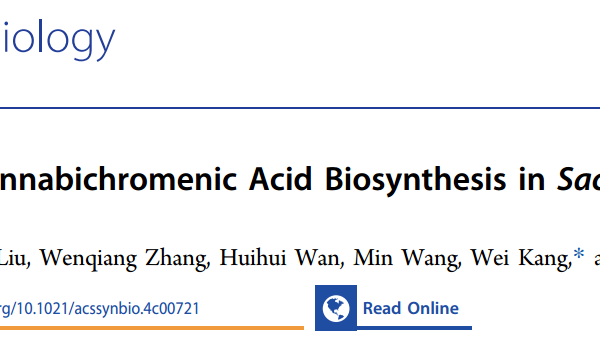 Enhancing Cannabichromenic Acid Biosynthesis in Saccharomyces cerevisiae