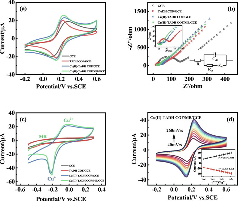 Figure 4. (a) The scanning rate of bare GCE, TADH COF/GCE, Cu(II) -Tadh COF/GCE and Cu(II) -Tadh COF/MB/GCE in 1.0 mM [Fe(CN)6]3-/4- solution (including 0.1 M KCl) is 50 CV curve and (b) EIS curve of mV s-1 (illustrated as equivalent circuit simulated by Randles); (c) CV response of each modified electrode to 500 nM GSH with a scanning rate of 100 mV s-1 in 0.1 M PBS (including 50 mM Cl-); (d) Cu(II) -TADh COF/MB/GCE CV curve with a scanning rate of 50 mV s-1 in 1.0 mM [Fe(CN)6]3-/4- solution containing 0.1 M KCl. (d) Cu(II) -Tadh COF/MB/GCE CV curves at different scanning rates from 40 mV s-1 to 260 mV s-1 in 1.0 mM [Fe(CN)6]3-/4- solution containing 0.1 M KCl (illustrated as REDOX current vs The linear relationship between v1/2).