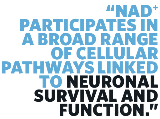 NAD+ Participates in a Broad Range of Cellular NMN