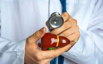 NMN protects liver