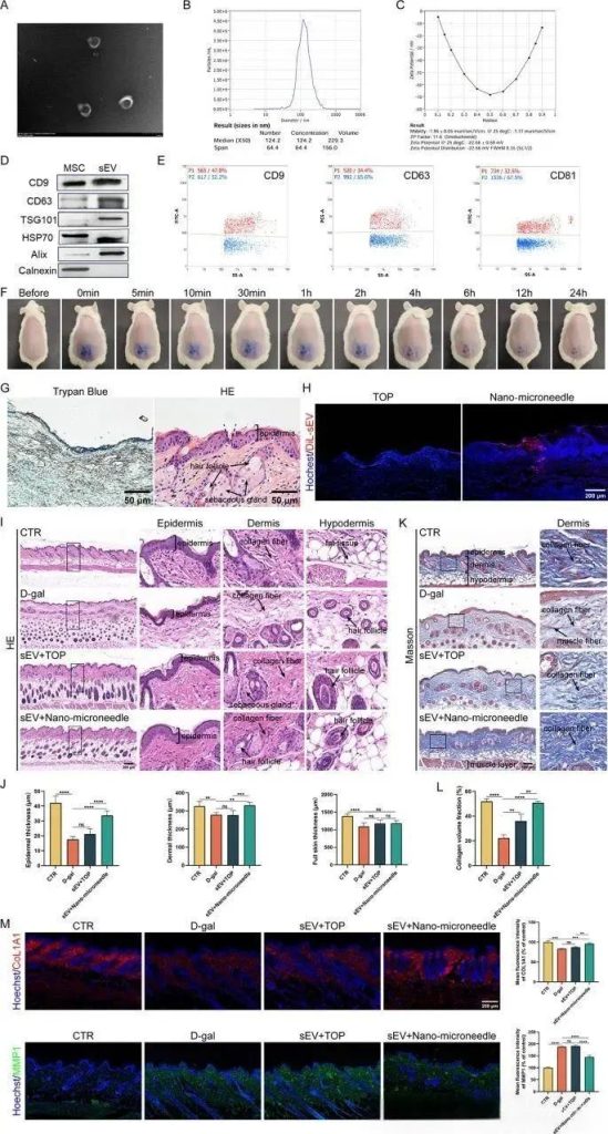 NMN Comprehensive validation from cells to animals