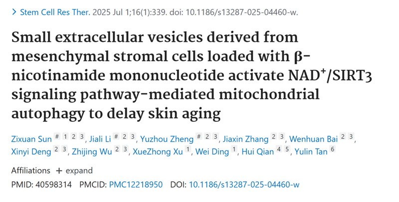 Small extracellular vesicles derived from mesenchymal stromal cells loaded with β-nicotinamide mononucleotide activate NAD+/SIRT3 signaling pathway-mediated mitochondrial autophagy to delay skin aging
