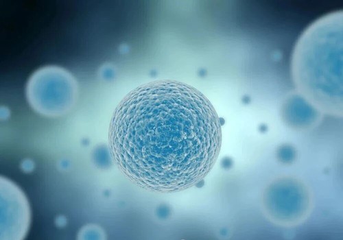 glutathione Promote energy metabolism and anti-fatigue effect