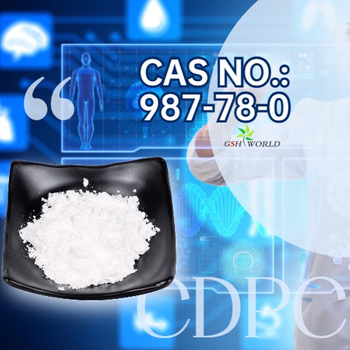 Citicoline for treatment of chronic ischemic optic neuropathy
