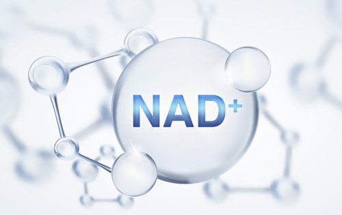 Frequent insomnia may caused by NAD+