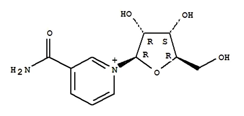 The chemical structure diagram of nicotinamide riboside (NR)