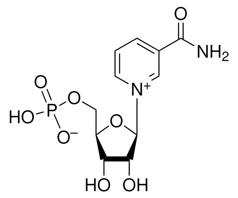 The chemical structure diagram of nicotinamide mononucleotide (NMN)