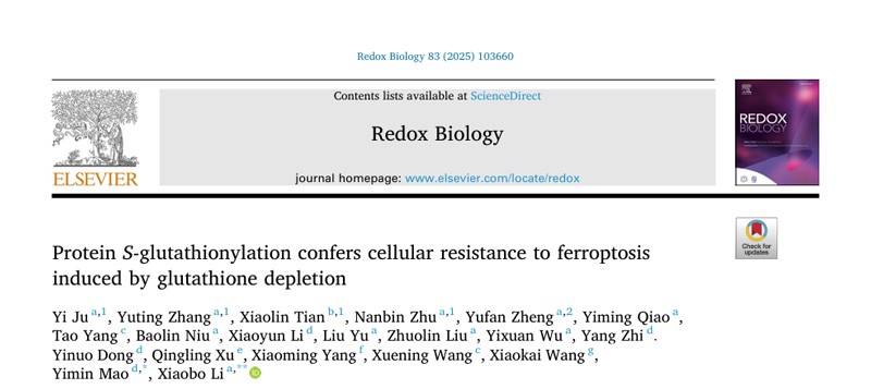 Glutathione ylation, ferroptosis